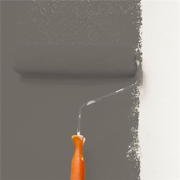 Wandfarbe Matt NCS-S-6502-Y50R WALLCOVER Colors