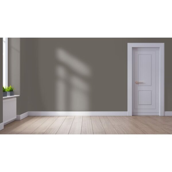 Wandfarbe Matt NCS-S-6502-Y50R WALLCOVER Colors