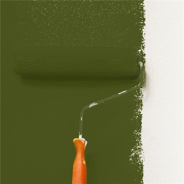 Wandfarbe Matt NCS-S-6530-G50Y WALLCOVER Colors
