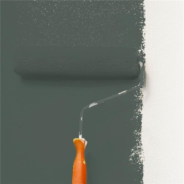 Wandfarbe Matt NCS-S-7005-G WALLCOVER Colors