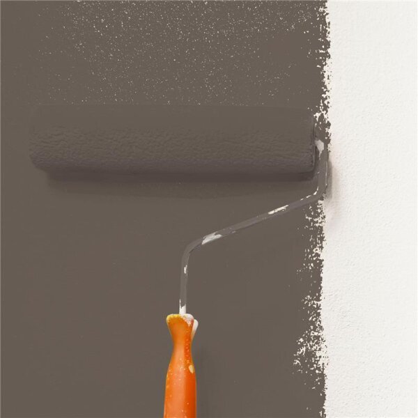 Wandfarbe Matt NCS-S-7005-Y50R WALLCOVER Colors