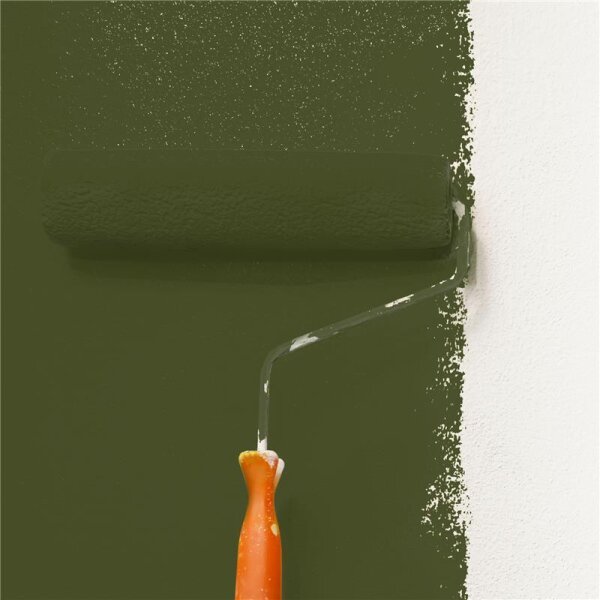 Wandfarbe Matt NCS-S-7020-G50Y WALLCOVER Colors