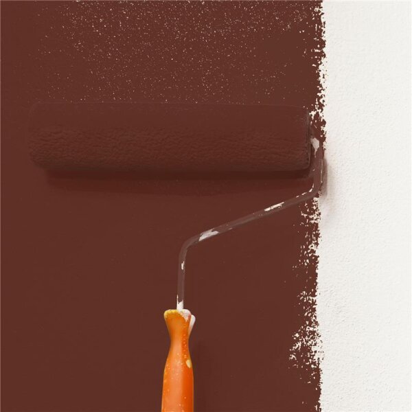 Wandfarbe Matt NCS-S-7020-Y80R WALLCOVER Colors