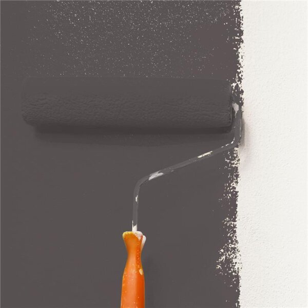 Wandfarbe Matt NCS-S-7502-R WALLCOVER Colors