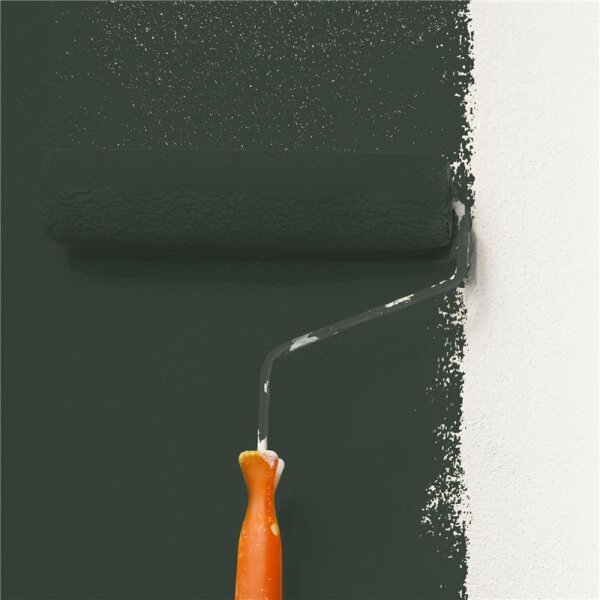 Wandfarbe Matt NCS-S-8005-G20Y WALLCOVER Colors
