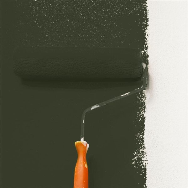 Wandfarbe Matt NCS-S-8010-G50Y WALLCOVER Colors