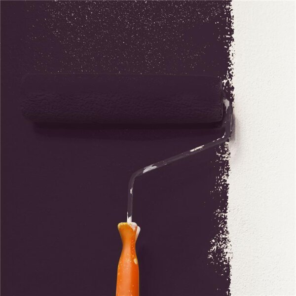 Wandfarbe Matt NCS-S-8010-R30B WALLCOVER Colors