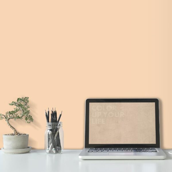 Wandfarbe Apricot Pfirsich Ravenna 1B Wallcover Colors S 0515-Y40R