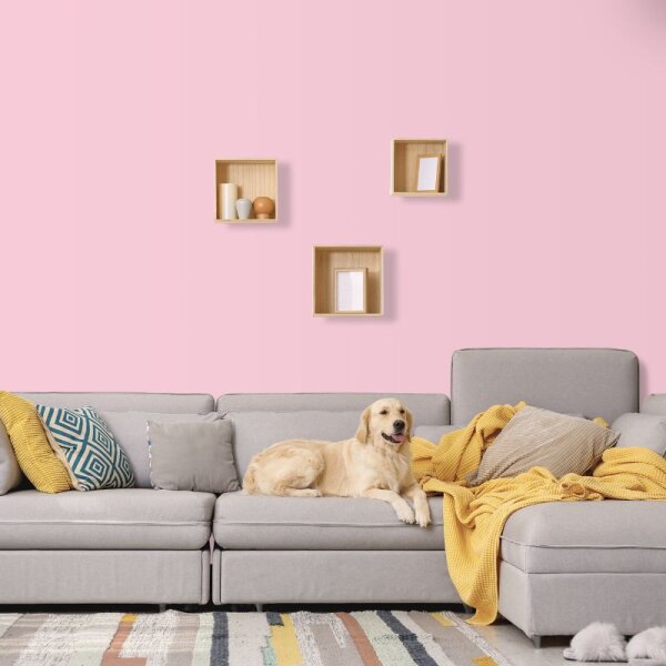 Wandfarbe Rosa Portobello 1B Wallcover Colors S 0520-R10B