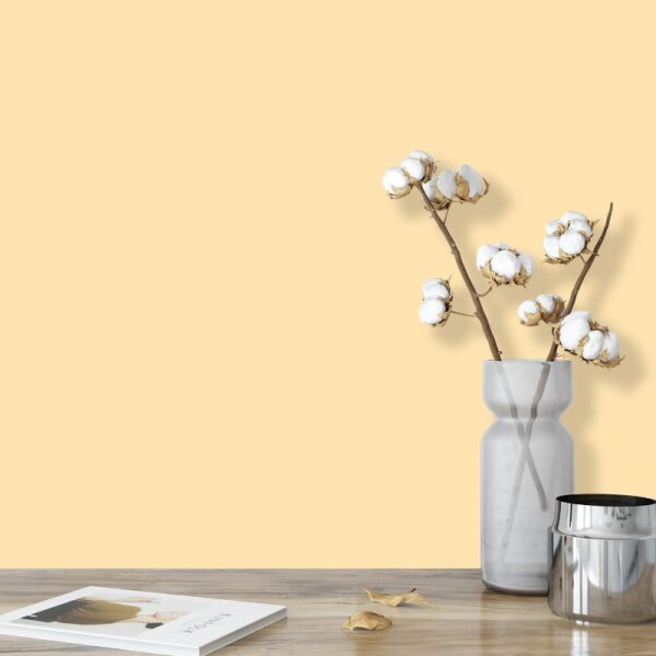 Wandfarbe Sand Beige Creme Kalahari 2A Wallcover Colors S 0520-Y30R