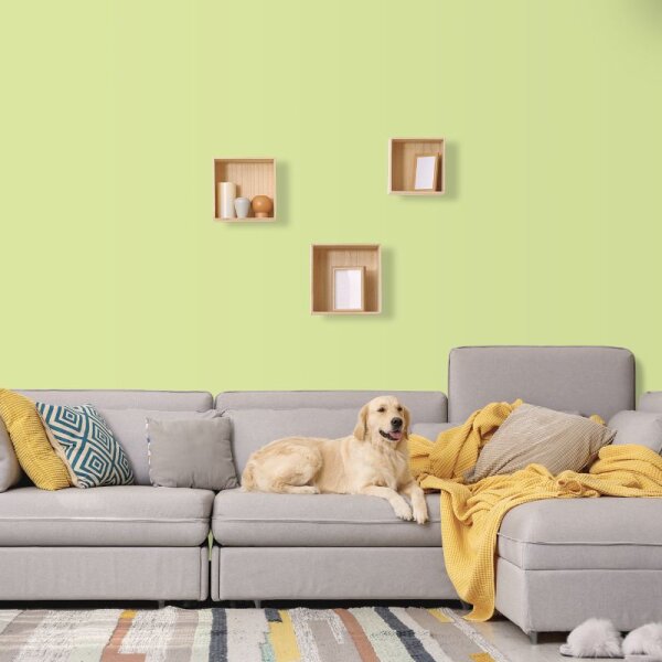 Wandfarbe Blassgrün Hellgrün Donegal 3B Wallcover Colors S 0530-G50Y