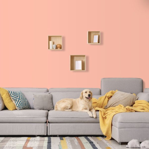 Wandfarbe Apricot Pfirsich Firenze 1B Wallcover Colors S 0530-Y80R