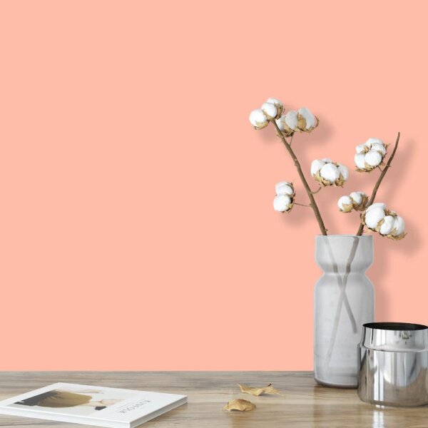 Wandfarbe Apricot Pfirsich Firenze 1B Wallcover Colors S 0530-Y80R