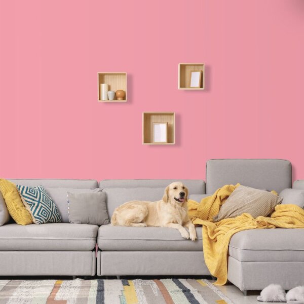 Wandfarbe Rosa Zartrosa Kensington 1C Wallcover Colors S 0540-R20B