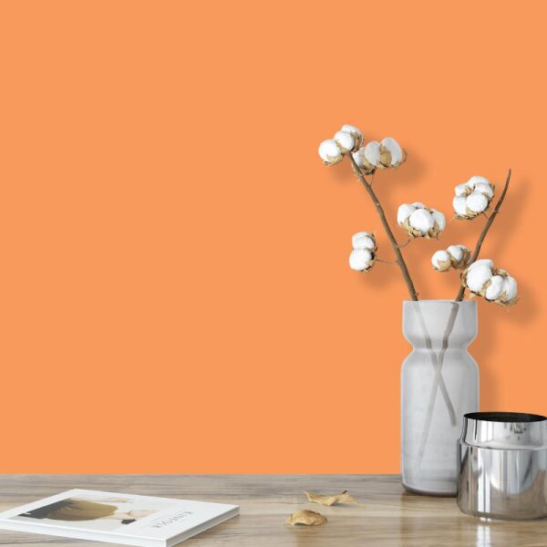 Wandfarbe Orange Bologna 1D Wallcover Colors S 0560-Y50R
