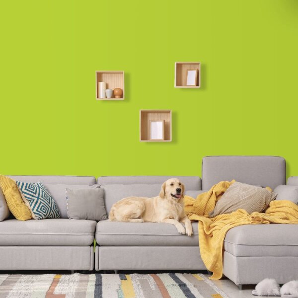 Wandfarbe Hellgrün Frühlingsgrün Donegal 1D Wallcover Colors S 0565-G50Y