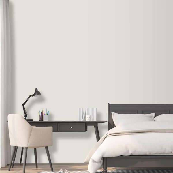 Wandfarbe Hellgrau Lichtgrau Moon 4A Wallcover Colors S 1005-G40Y