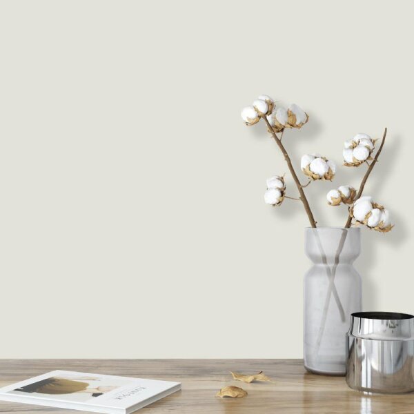 Wandfarbe Hellgrau Lichtgrau Moon 4A Wallcover Colors S 1005-G40Y