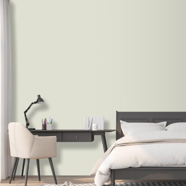 Wandfarbe Graugrün Grau hell Shadow 2A Wallcover Colors S 1005-G60Y
