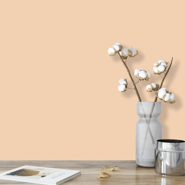 Wandfarbe Champagner Creme Siena 4A Wallcover Colors S 1015-Y40R