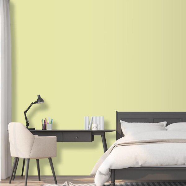 Wandfarbe Weißgrün Blassgrün Kilkenny 3A Wallcover Colors S 1020-G80Y