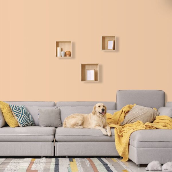 Wandfarbe Puder Blush Nude Light Orange 4E Wallcover Colors S 1020-Y50R