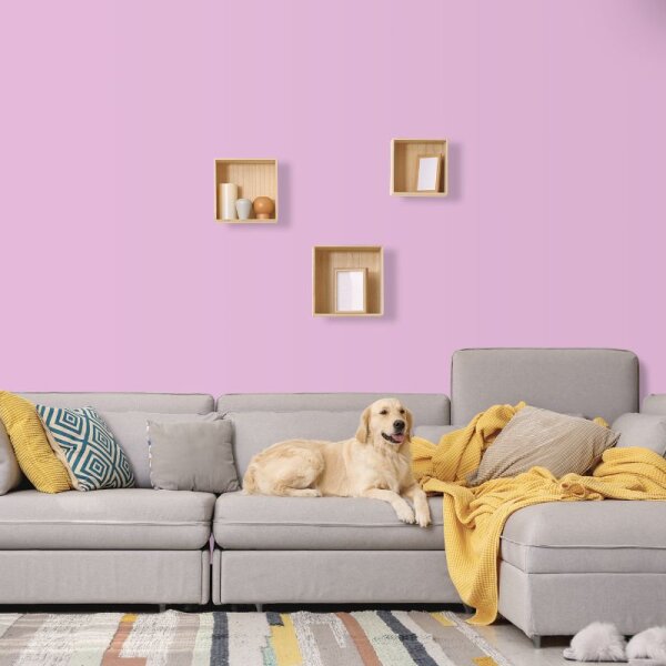 Wandfarbe Hellviolett Rosa Carnaby 2B Wallcover Colors S 1030-R40B