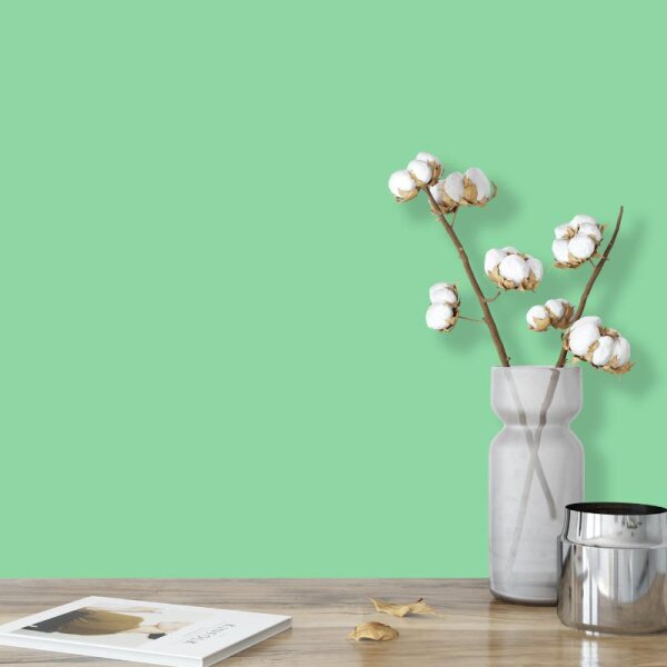 Wandfarbe Hellgrün Blassgrün Connemara 1D Wallcover Colors S 1040-G10Y