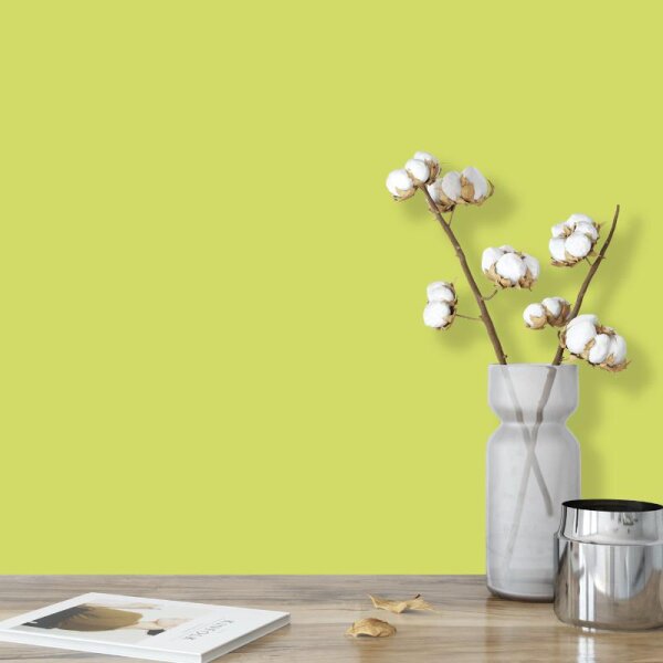 Wandfarbe Hellgrün Gelbgrün Killarney 2D Wallcover Colors S 1050-G70Y