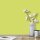 Wandfarbe Hellgrün Gelbgrün Killarney 2D Wallcover Colors S 1050-G70Y