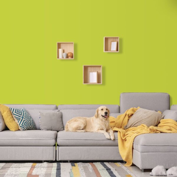 Wandfarbe Apfelgrün Grüngelb Saguaro 1F Wallcover Colors S 1060-G60Y