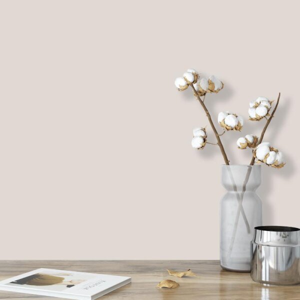 Wandfarbe Hellgrau Beige-Grau Moon 2A Wallcover Colors S 1502-Y20R