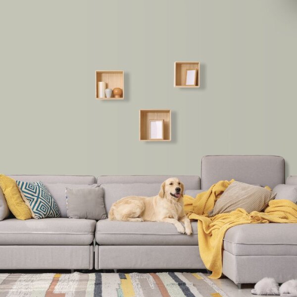 Wandfarbe Graugrün Grau hell Shadow 2B Wallcover Colors S 2005-G60Y