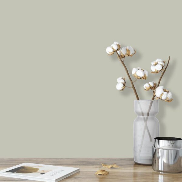 Wandfarbe Graugrün Grau hell Shadow 2B Wallcover Colors S 2005-G60Y