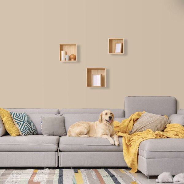 Wandfarbe Sand Hellbraun Light 6C Wallcover Colors S 2010-Y20R