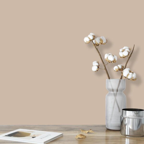 Wandfarbe Sand Hellbraun Light 6D Wallcover Colors S 2010-Y80R