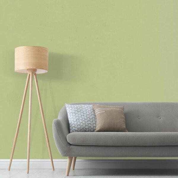 Wandfarbe Hellgrün Pastellgrün Kilkenny 4D Wallcover Colors S 2020-G60Y