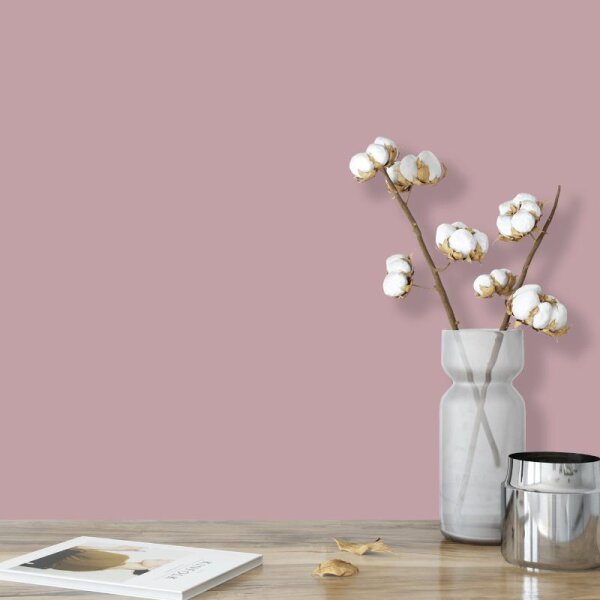 Wandfarbe Altrosa Rosé Piccadilly 5B Wallcover Colors S 2020-R10B