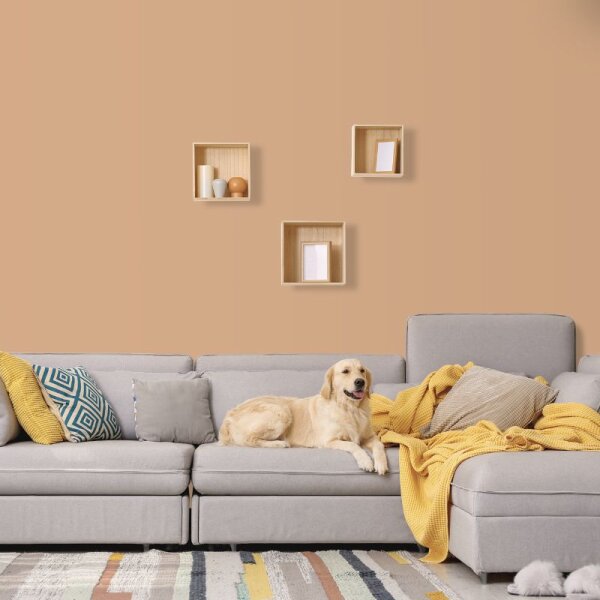 Wandfarbe Beige Hellbraun Sand Ravenna 5C Wallcover Colors S 2020-Y50R