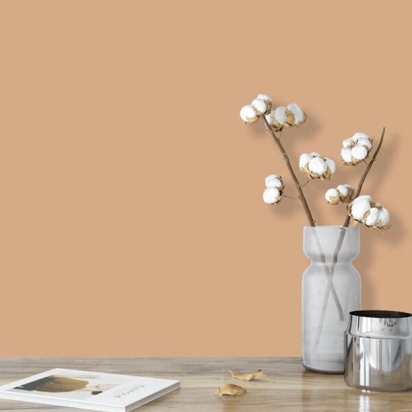 Wandfarbe Beige Hellbraun Sand Ravenna 5C Wallcover Colors S 2020-Y50R