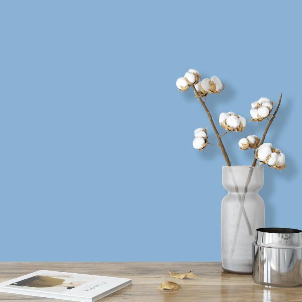 Wandfarbe Hellblau Himmelblau Pazifik 2C Wallcover Colors S 2030-R80B