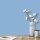 Wandfarbe Hellblau Himmelblau Pazifik 2C Wallcover Colors S 2030-R80B