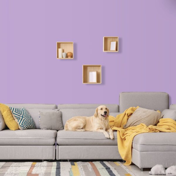 Wandfarbe Flieder Lila Violett Benguela 1C Wallcover Colors S-2040-R40b