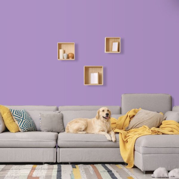 Wandfarbe Flieder Lila Violett Benguela 1D Wallcover Colors S 2040-R50B