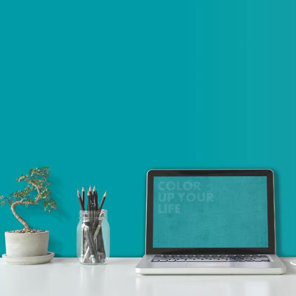 Wandfarbe Türkis Margarita 2E Wallcover Colors S 2050-B50G