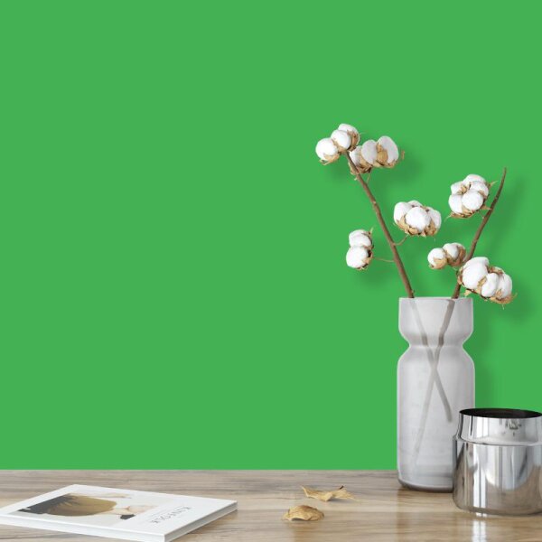 Wandfarbe Grün Dublin 2E Wallcover Colors S 2060-G20Y