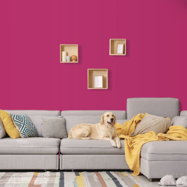 Wandfarbe Pink Rosa English Rose 1F Wallcover Colors S 2060-R20B