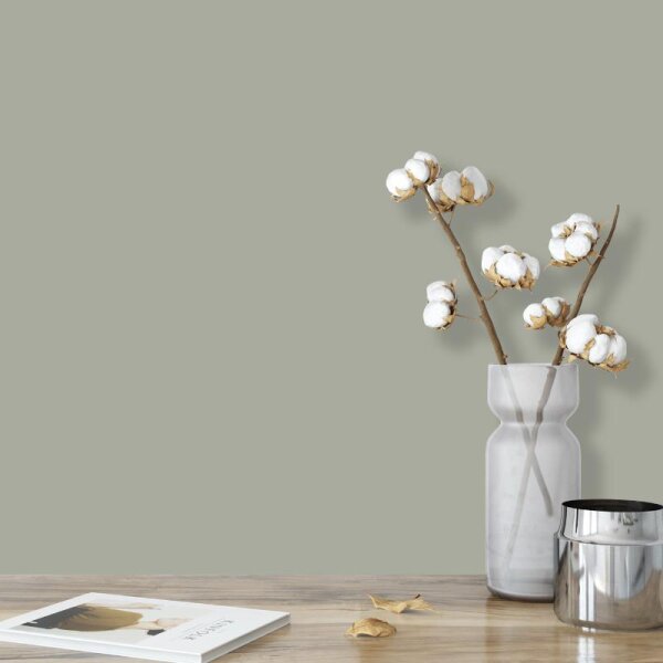 Wandfarbe Graugrün Grau Shadow 2C Wallcover Colors S 3005-G50Y