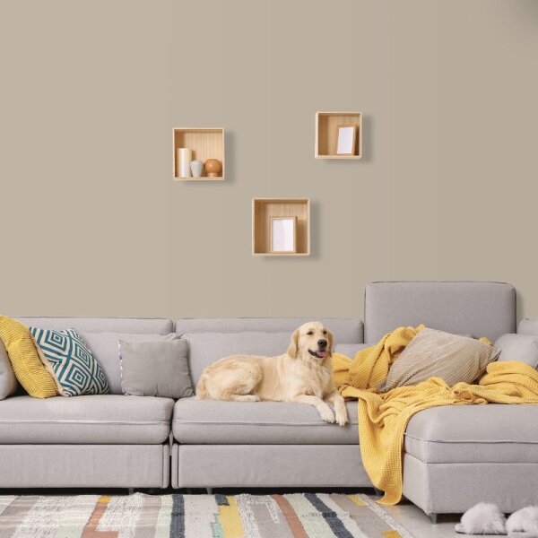 Wandfarbe Greige Sand-Grau Shadow 6B Wallcover Colors S 3005-Y20R