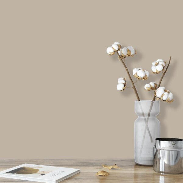 Wandfarbe Greige Sand-Grau Shadow 6B Wallcover Colors S 3005-Y20R